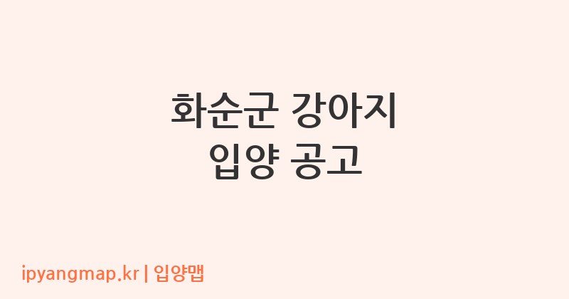 화순군 강아지 입양 공고