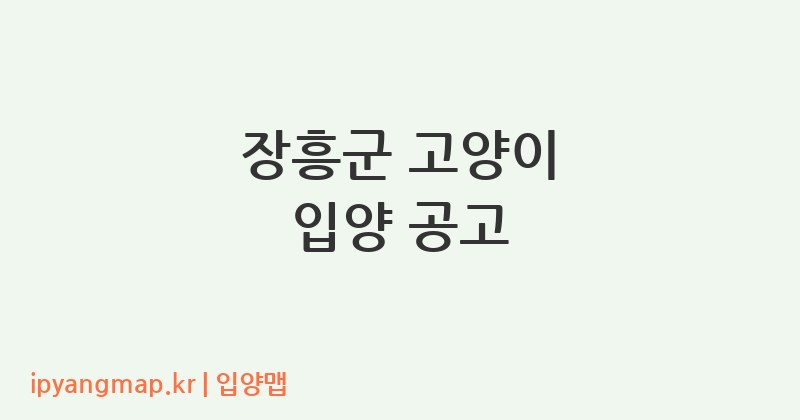 장흥군 고양이 입양 공고