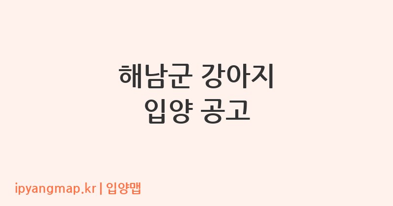 해남군 강아지 입양 공고
