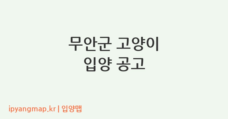무안군 고양이 입양 공고