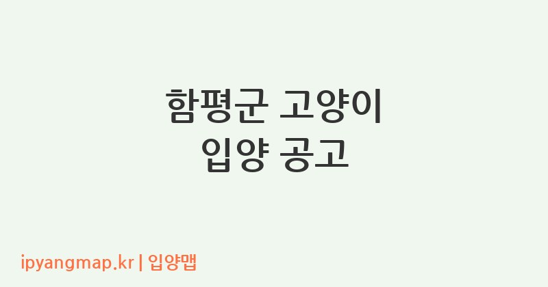 함평군 고양이 입양 공고