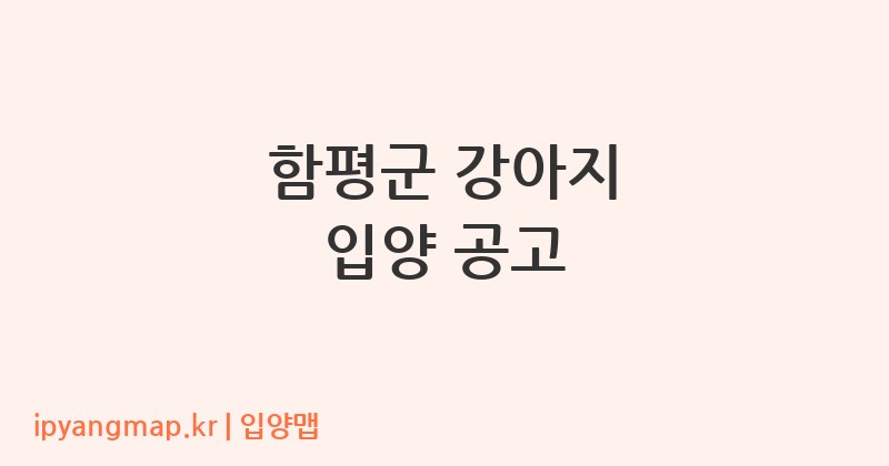 함평군 강아지 입양 공고