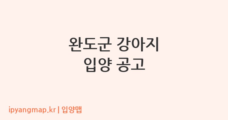 완도군 강아지 입양 공고