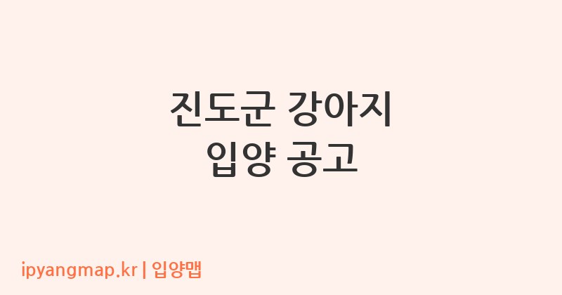 진도군 강아지 입양 공고