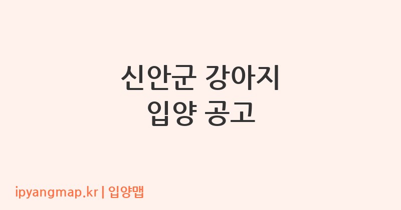 신안군 강아지 입양 공고