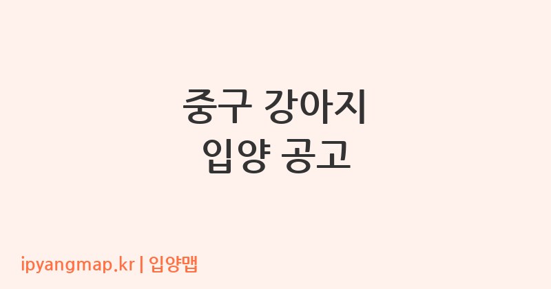 중구 강아지 입양 공고