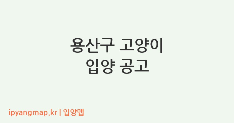 용산구 고양이 입양 공고