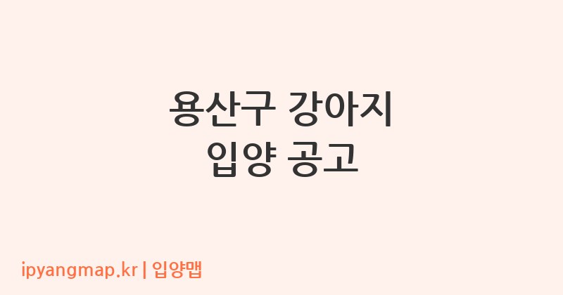 용산구 강아지 입양 공고