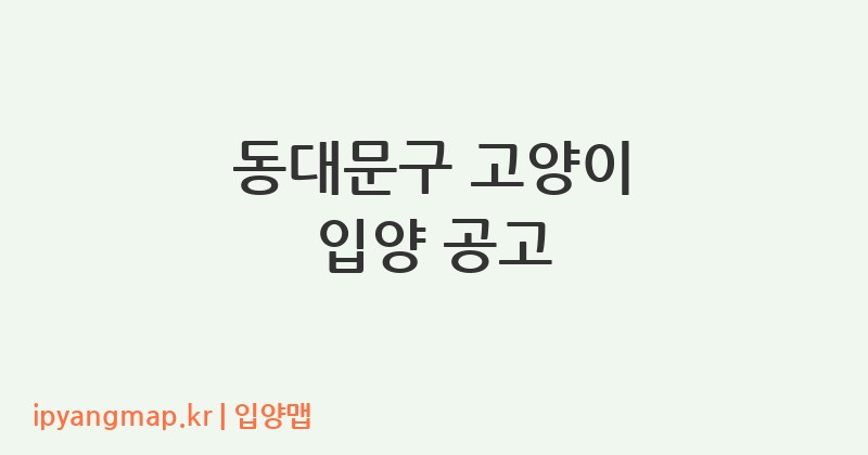 동대문구 고양이 입양 공고