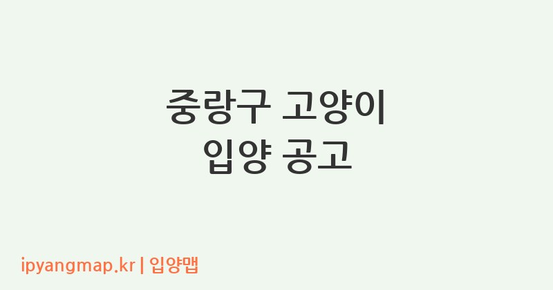 중랑구 고양이 입양 공고