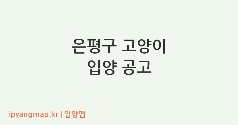 은평구 고양이 입양 공고