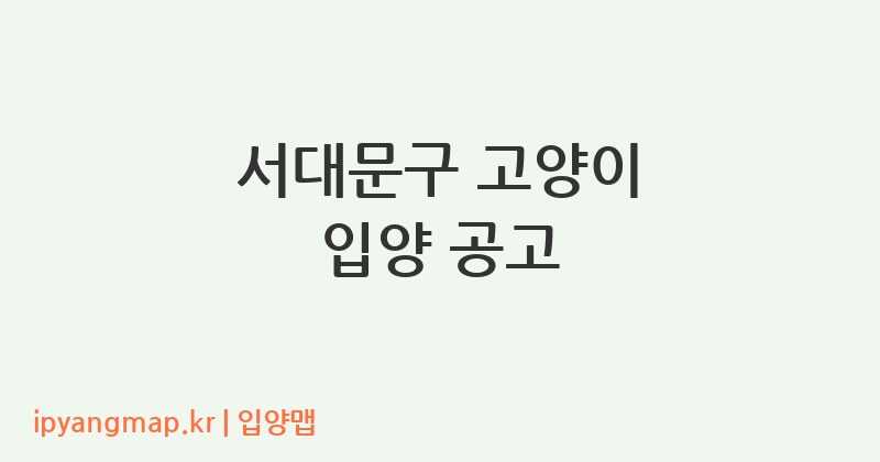 서대문구 고양이 입양 공고