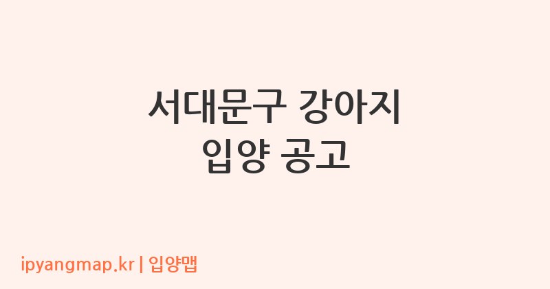 서대문구 강아지 입양 공고