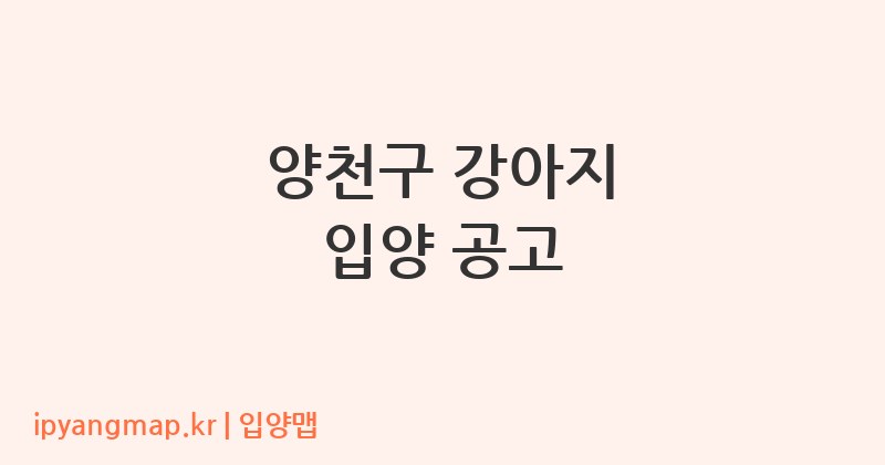 양천구 강아지 입양 공고