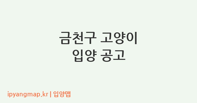 금천구 고양이 입양 공고