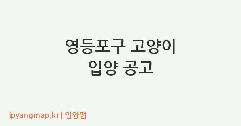 영등포구 고양이 입양 공고