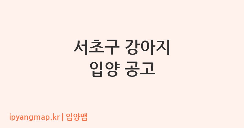 서초구 강아지 입양 공고