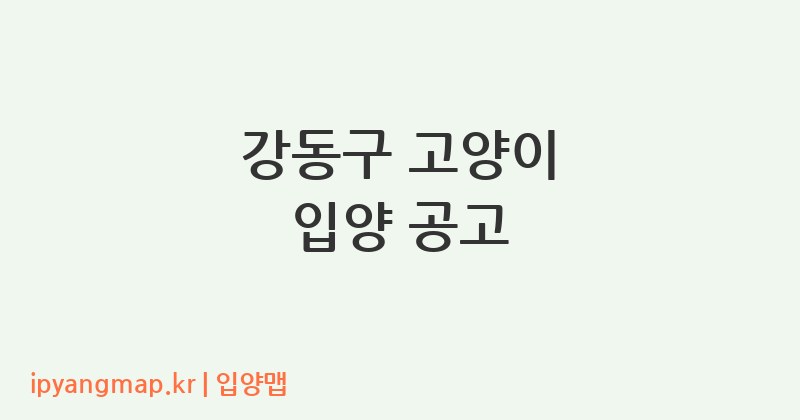 강동구 고양이 입양 공고