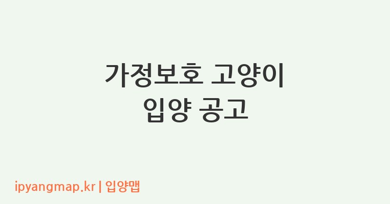 가정보호 고양이 입양 공고