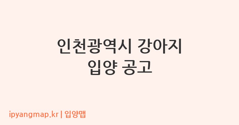 인천광역시 강아지 입양 공고
