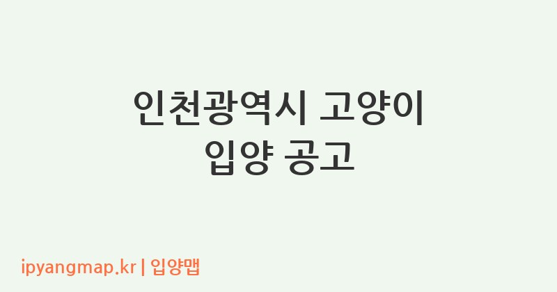 인천광역시 고양이 입양 공고
