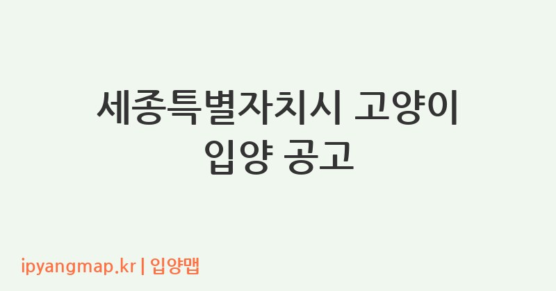 세종특별자치시 고양이 입양 공고
